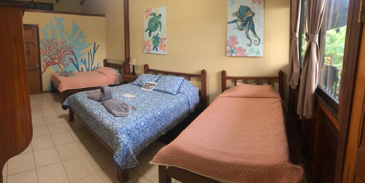 Hotel Jinetes De Osa Drakes Bay المظهر الخارجي الصورة