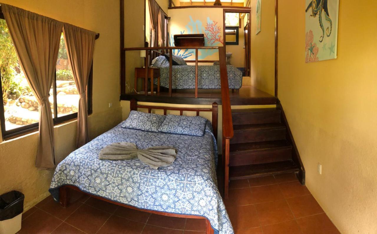Hotel Jinetes De Osa Drakes Bay المظهر الخارجي الصورة